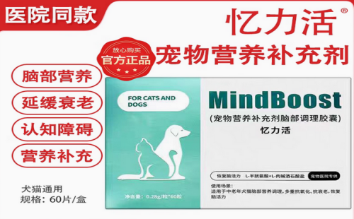 忆力活