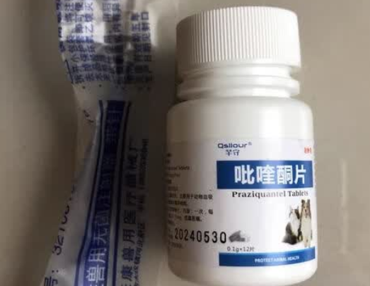 芊守吡喹酮片:守护宠物健康的驱虫利器 芊守吡喹酮片:守护宠物健康的驱虫利器