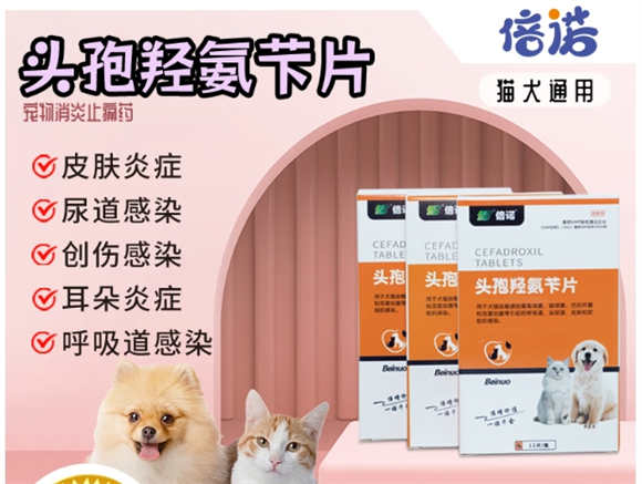 倍诺宠物消炎药好吗