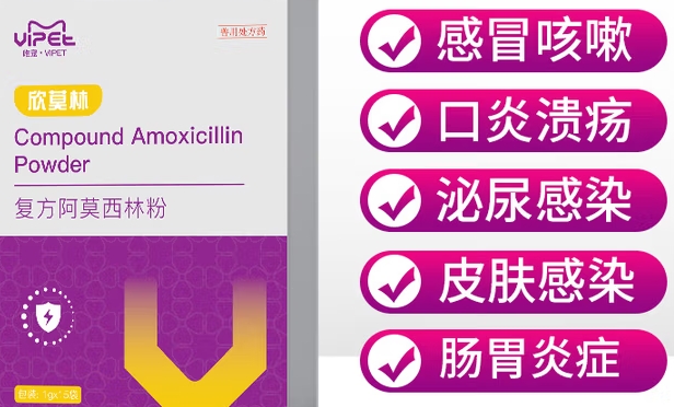 VIPET宠物阿莫西林治什么 VIPET宠物阿莫西林治什么