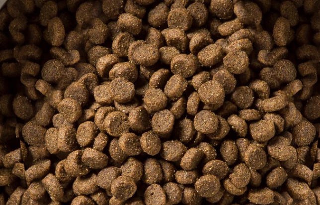 牛头梗的狗粮品牌推荐荒野盛宴,享受健康每一天! 牛头梗的狗粮品牌推荐荒野盛宴,享受健康每一天!