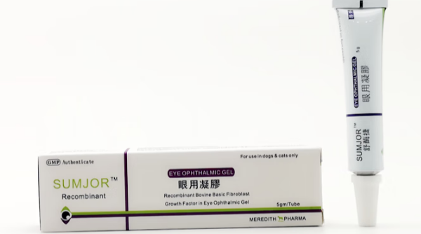 舒睸捷眼用护理凝胶：宠物眼部健康的贴心守护者