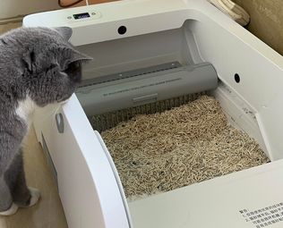 博贝猫砂是杂牌子还是名牌