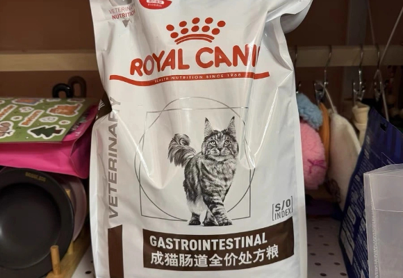 猫咪便秘吃什么猫粮好?皇家肠道健康系列为你高效解决难题 猫咪便秘吃什么猫粮好?皇家肠道健康系列为你高效解决难题
