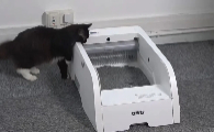 自动猫砂盆测评：CEWEY C9让我家猫主子爱不释“爪”！