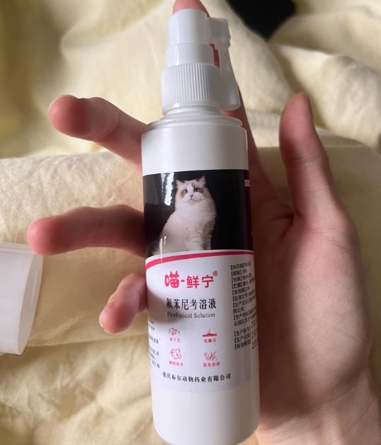 布尔喵鲜宁:为猫咪肠道撑起“保护伞” 布尔喵鲜宁:为猫咪肠道撑起“保护伞”