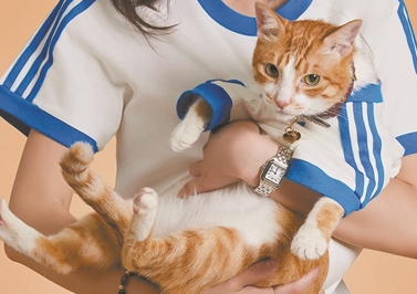 “铲屎官”钱包不保！宠物运动衫受宠