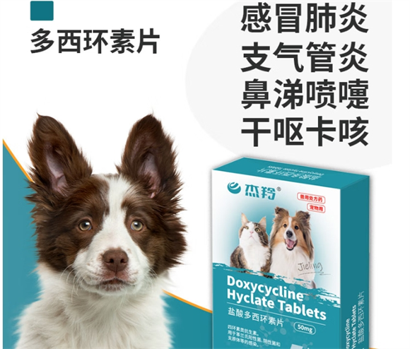 杰羚多西环素:犬猫呼吸道感染的专业治疗方案 杰羚多西环素:犬猫呼吸道感染的专业治疗方案