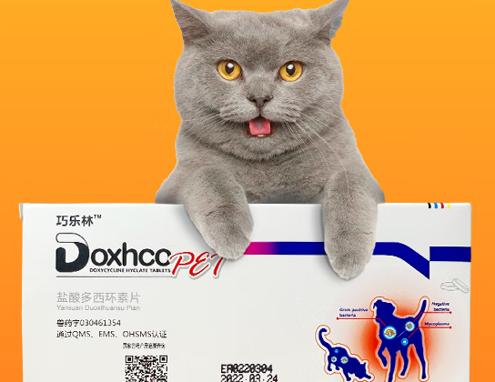 宠物健康必备:巧乐林多西环素片详解 宠物健康必备:巧乐林多西环素片详解