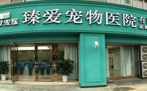 臻爱宠物医院