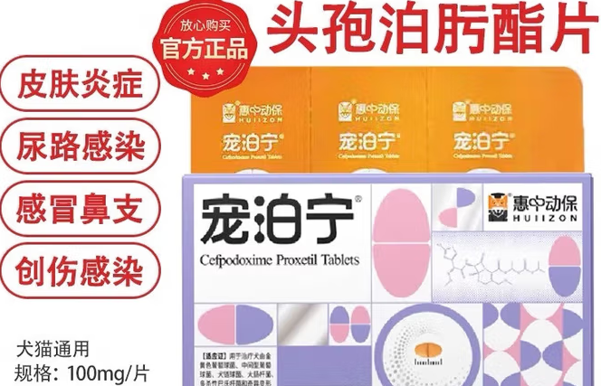 宠泊宁:以专业实力铸就宠物抗菌药品标杆品牌 宠泊宁:以专业实力铸就宠物抗菌药品标杆品牌