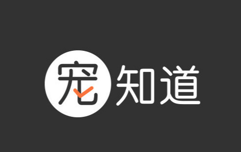 宠知道丨科技为笔，书写宠物行业的数字化革新
