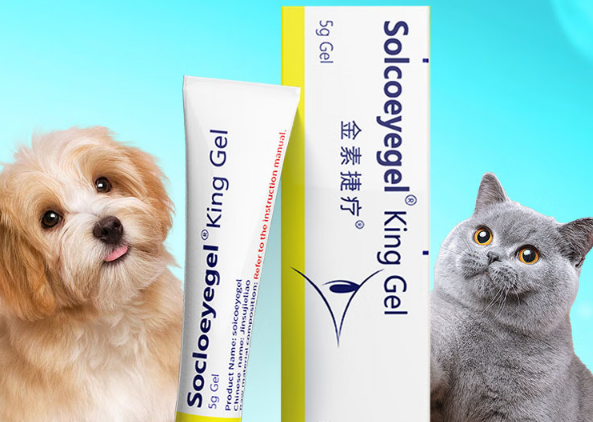 SOICOEYEGEL眼膏:宠物角膜修复的“生物盾牌” SOICOEYEGEL眼膏:宠物角膜修复的“生物盾牌”