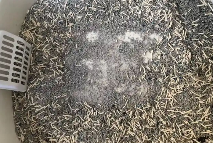 博贝猫砂多少钱一袋 博贝猫砂多少钱一袋