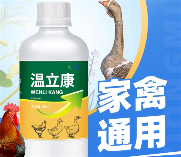 雄牧温立康喂鸡的功效与作用是什么