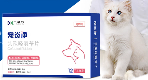 河欣宠物头孢羟氨苄片怎么吃 河欣宠物头孢羟氨苄片怎么吃