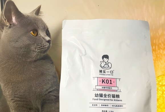 便宜的猫粮哪一个牌子好？诚实一口重新定义“平价好粮”标杆