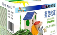 赫尔达——一个专注于宠物健康的品牌！