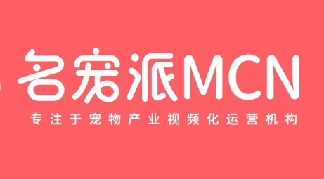 名宠派旗下账号多少