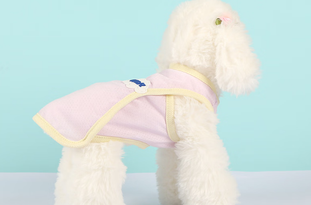 甜苗苗宠物夏季衣服怎么穿搭
