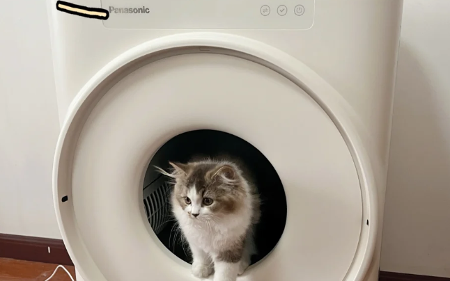 Panasonic猫砂盆怎么换猫砂