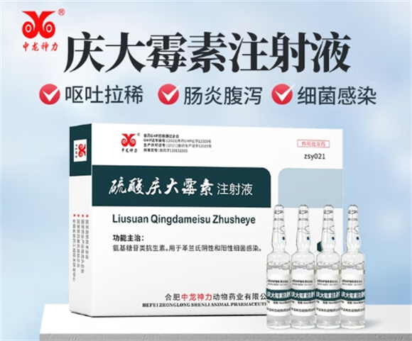 中龙神力庆大霉素注射针剂可以口服吗