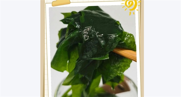 家里狗可以吃裙带菜吗 家里狗可以吃裙带菜吗