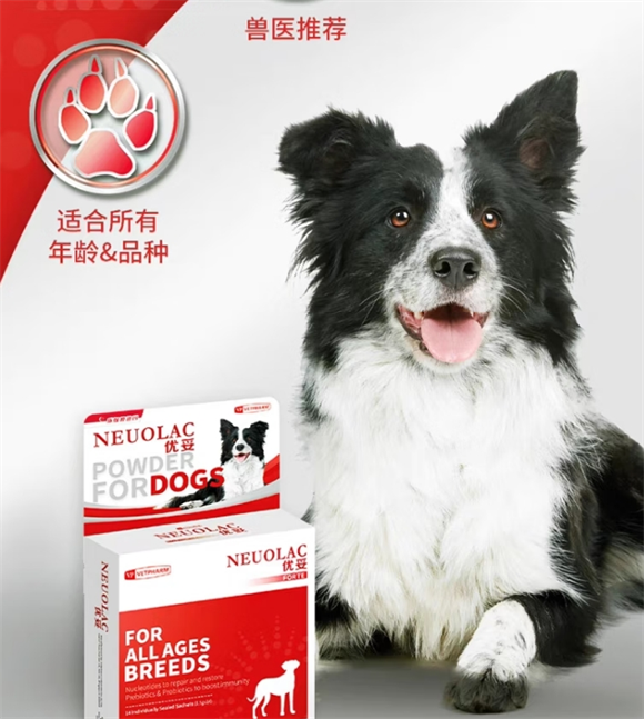 BONNERINE狗狗益生菌间隔几个小时吃