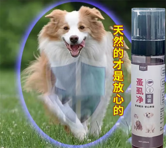 爱宠相伴,健康同行:宠举体外驱虫喷雾的暖心守护 爱宠相伴,健康同行:宠举体外驱虫喷雾的暖心守护