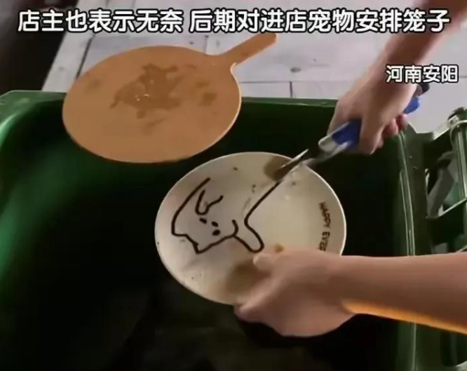 宠物狗 宠物狗