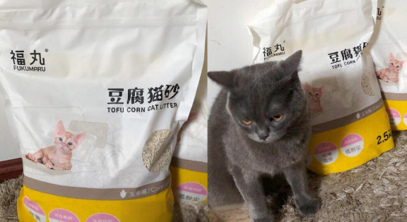平价豆腐猫砂推荐福丸,猫咪们超爱! 平价豆腐猫砂推荐福丸,猫咪们超爱!