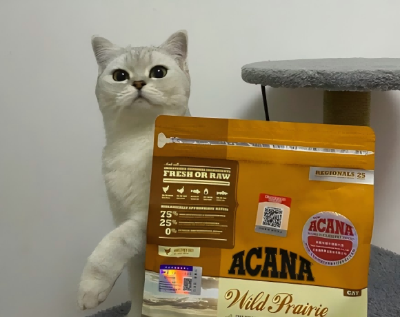 猫粮大品牌排行，爱肯拿牧场盛宴猫粮诠释好猫粮标准