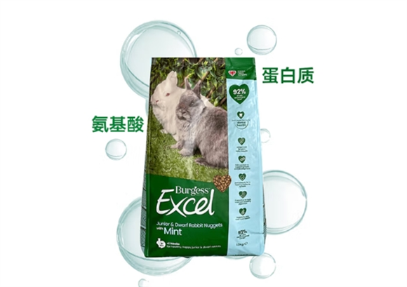 Burgess布格斯属于什么档次的