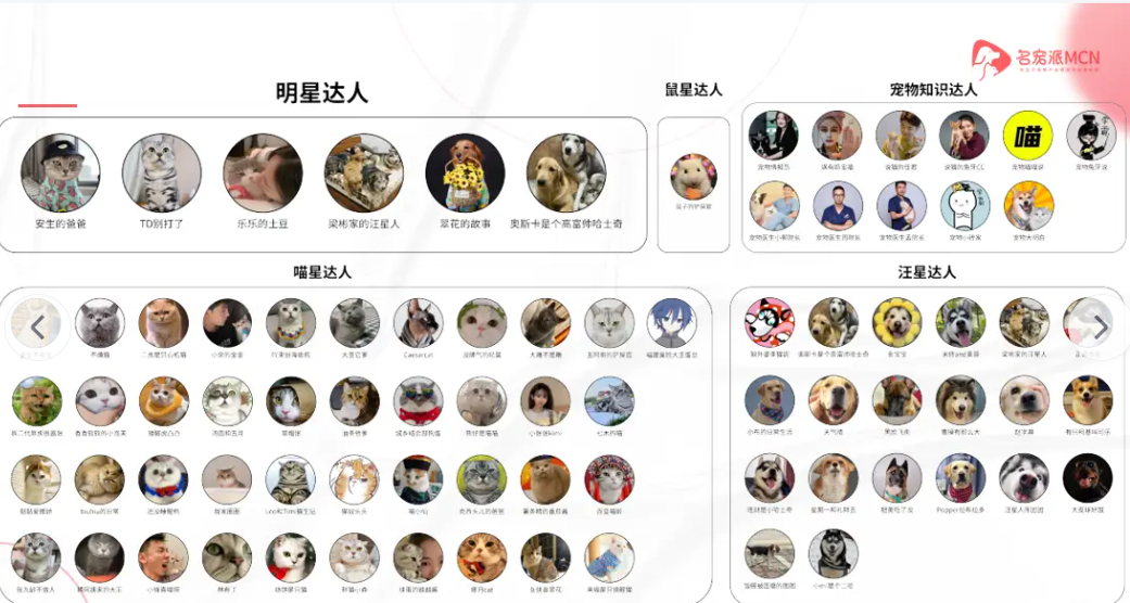 名宠派是做什么的