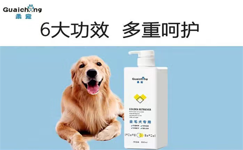 乖宠