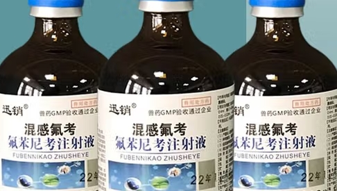 鸿牧兽兽药效果怎么样