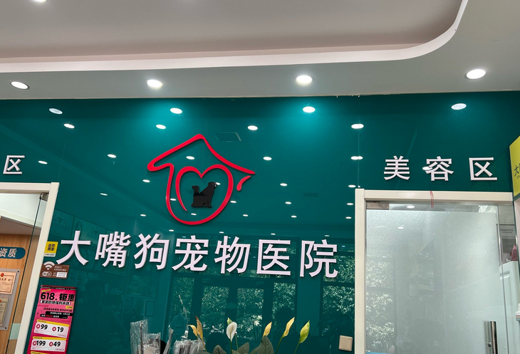大嘴狗宠物医院水平怎么样