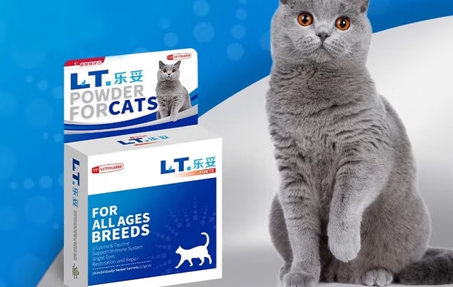 BONNERINE猫咪益生菌一天吃几次 BONNERINE猫咪益生菌一天吃几次