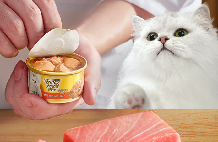 珍致猫罐头怎么样?进口优质食材,满足爱猫味蕾 珍致猫罐头怎么样?进口优质食材,满足爱猫味蕾