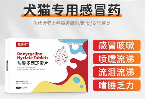 雷迪特宠康宁多少钱