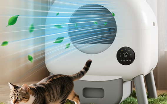 HMPET宠物猫厕所：打造猫咪专属的私密如厕空间