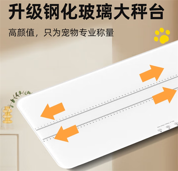 埠帝宠物体重秤：精准监测毛孩子健康，新手家长不踩坑