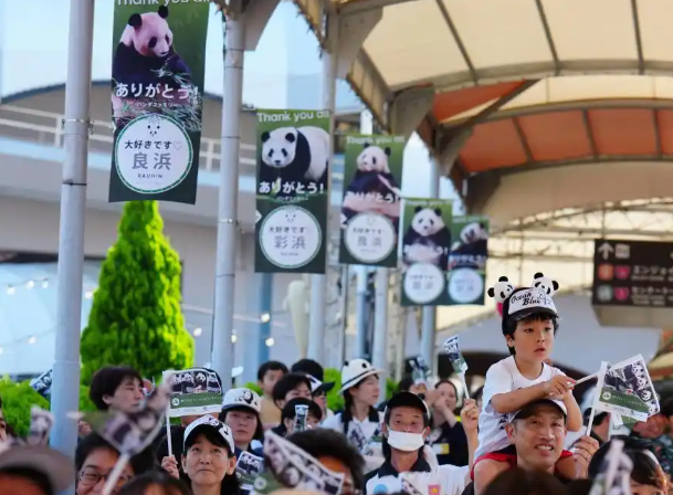 日本和歌山县4只大熊猫踏上回国旅程