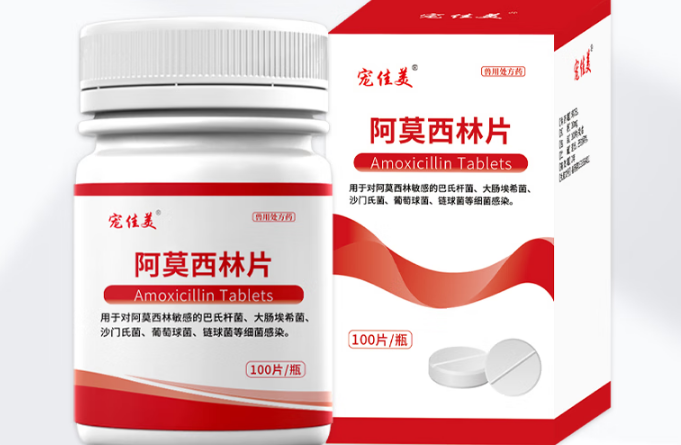 宠佳美宠物阿莫西林一天吃几次