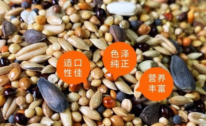 贝特赫斯鹦鹉粮:为羽族精灵定制的营养盛宴 贝特赫斯鹦鹉粮:为羽族精灵定制的营养盛宴