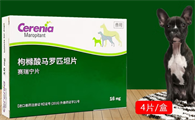 赛瑞宁止吐原理是什么