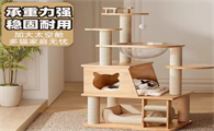 珑小宠猫爬架是必需品吗