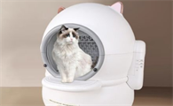 墙角猫宠物品牌产品怎么样？