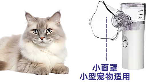 宠舒利宠物雾化器贵不贵