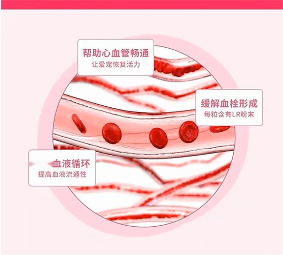 给狗狗喂丰兹欧Q10辅酶？让营养补得既精准又安心